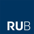Institut für Neuroinformatik, Ruhr-Universität Bochum logo